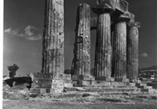 1960 053 36 Corinth, Archaic Temple, from Northwest, A_ Franz.jpg